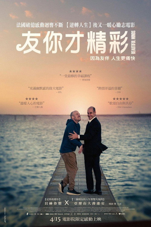 不完美的美 海报