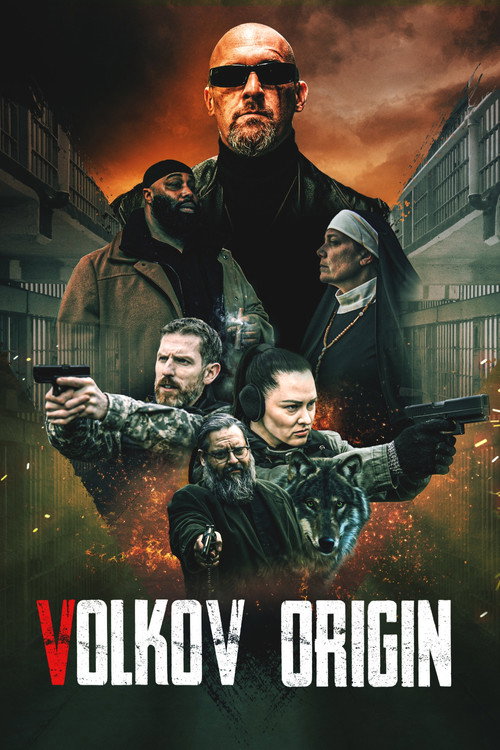 Volkov Origin 海报
