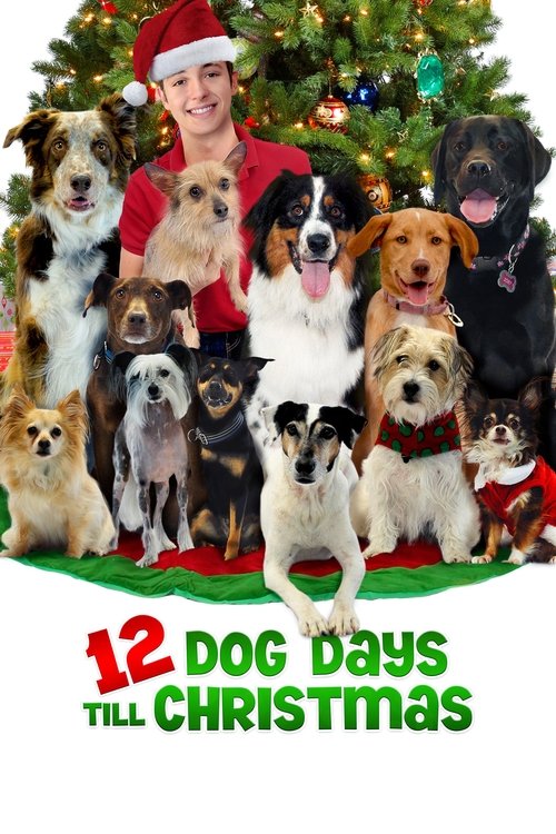 12 Dog Days Till Christmas 海报