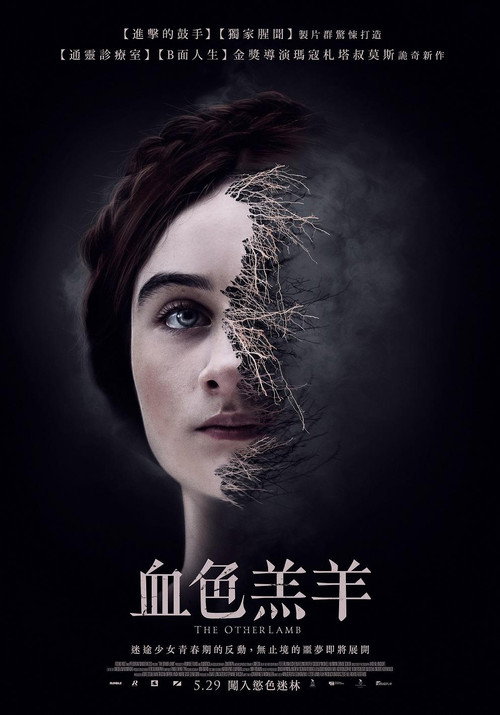 另一只羔羊 海报