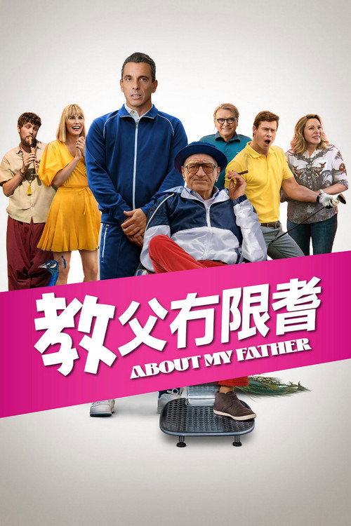 关于我的父亲 海报