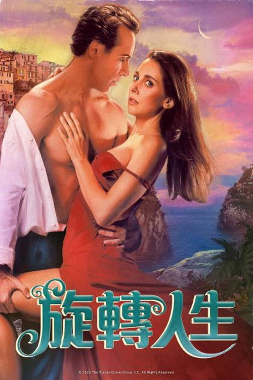旋转人生 海报