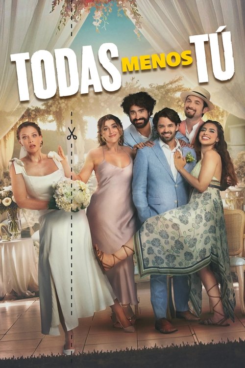 Todas Menos Tú 海报