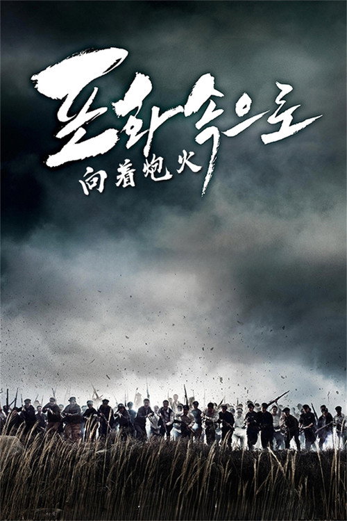 向着炮火 海报
