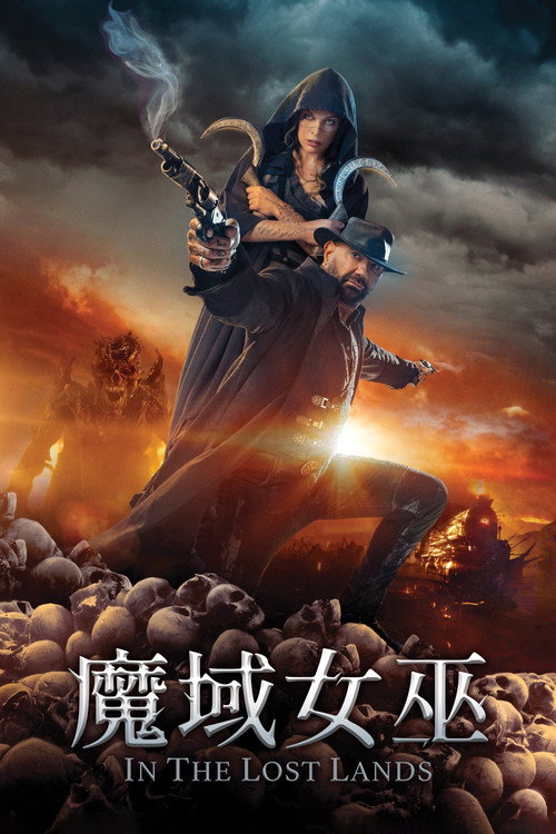 在失落之地 海报