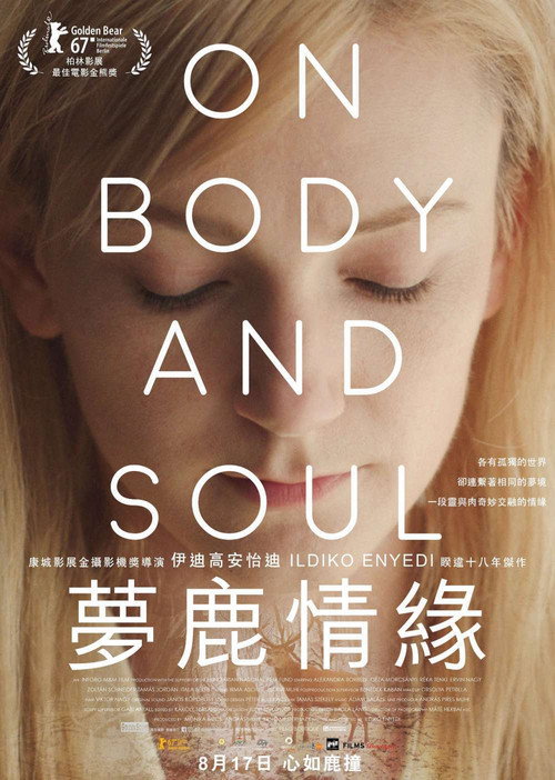 肉与灵 海报