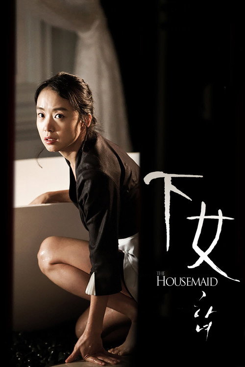 下女 海报