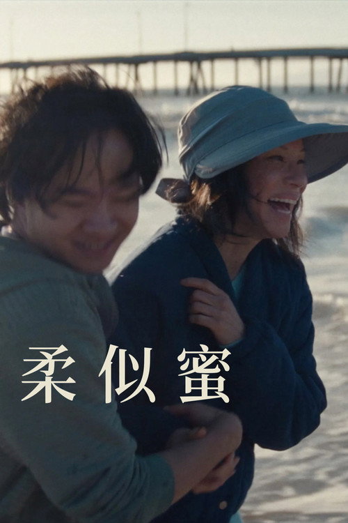 柔似蜜 海报