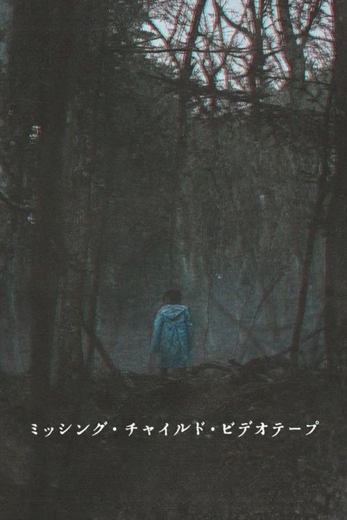 失踪儿童录像带 海报