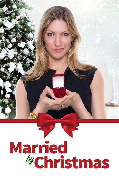 Married by Christmas 海报