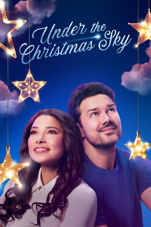 Under the Christmas Sky 海报