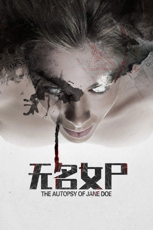 无名女尸 海报