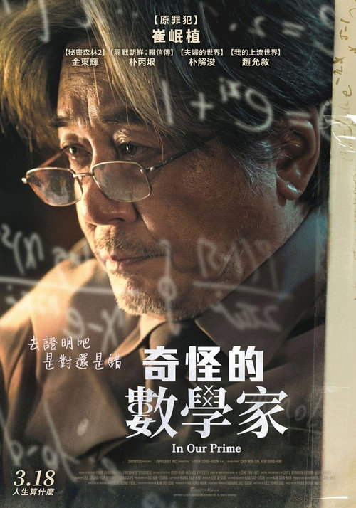 奇怪国家的数学家 海报