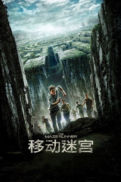 移动迷宫 海报