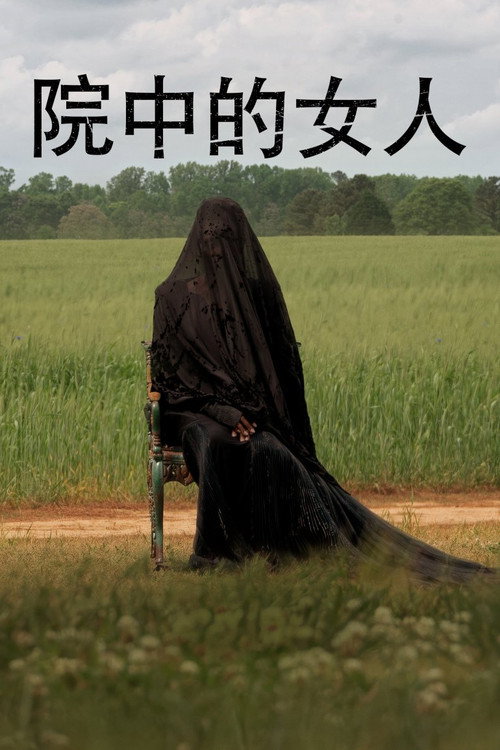 院子里的女人 海报