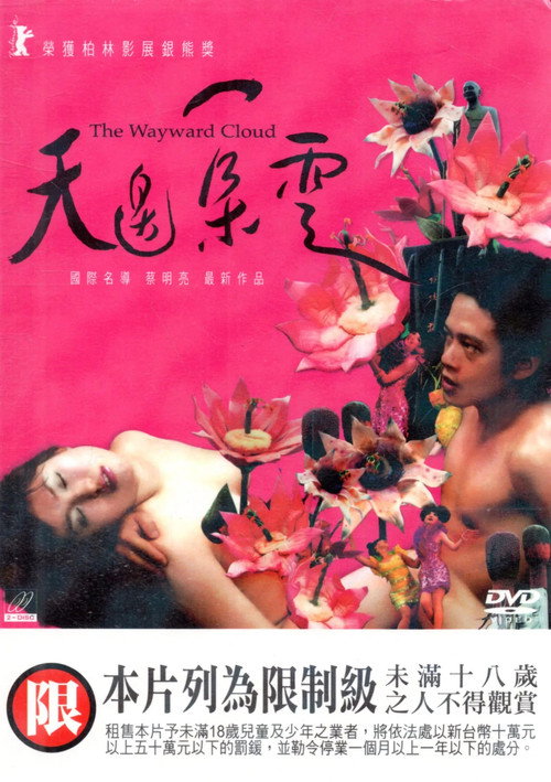 天边一朵云 海报