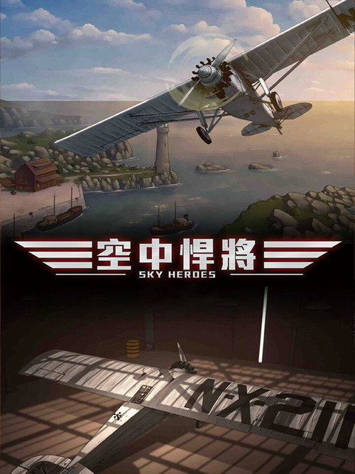 空中悍将 海报
