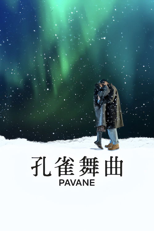孔雀舞曲 海报