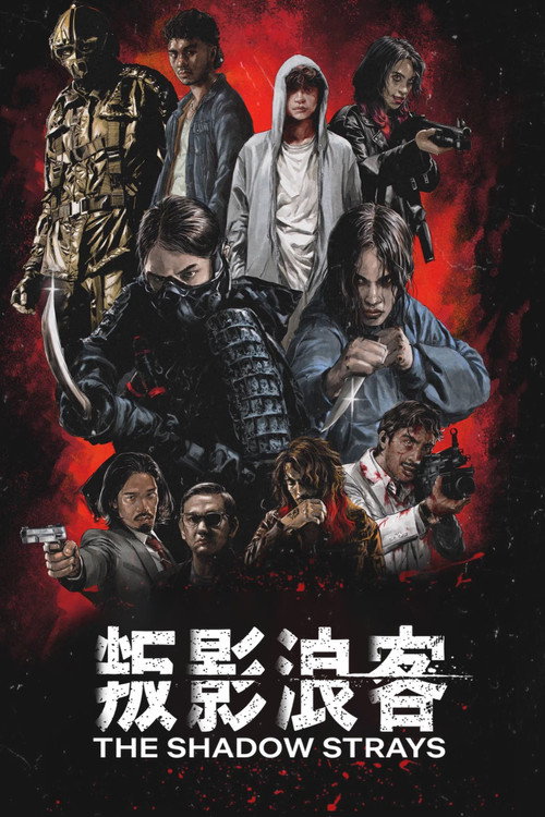 叛影浪客 海报