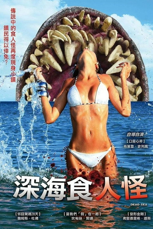 死海 海报