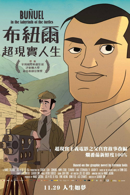 布努埃尔之神龟迷宫 海报