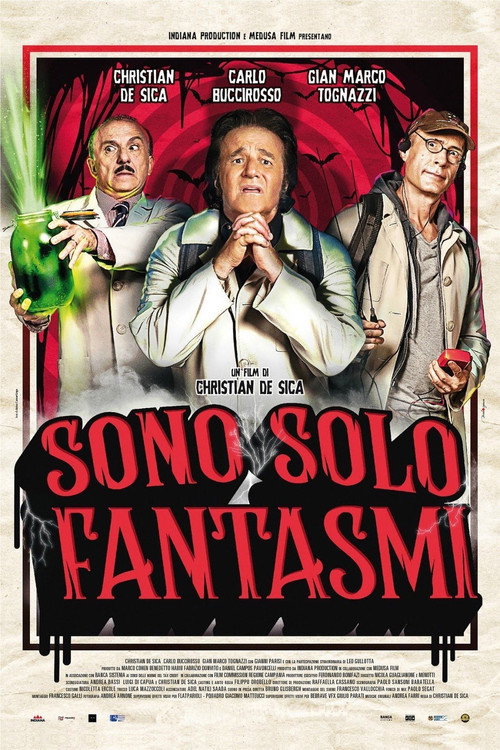 Sono solo fantasmi 海报
