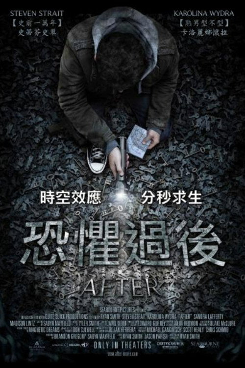 车祸之后 海报