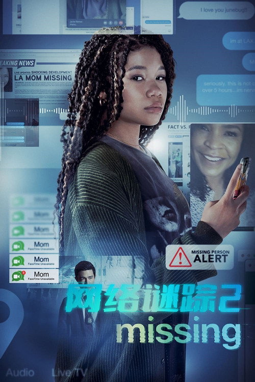 网络谜踪2 海报