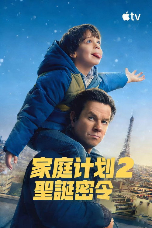 家庭计划2 海报