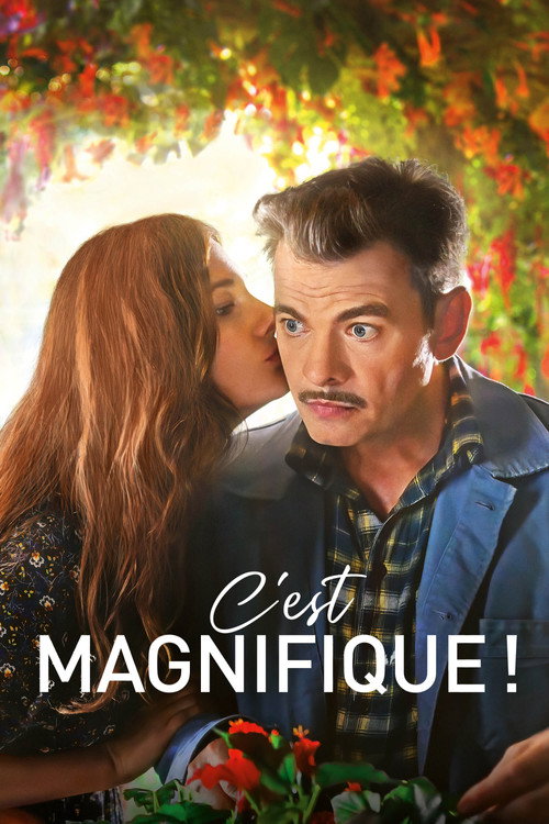 C'est magnifique ! 海报