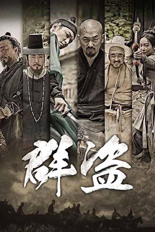 群盗：民乱的时代 海报