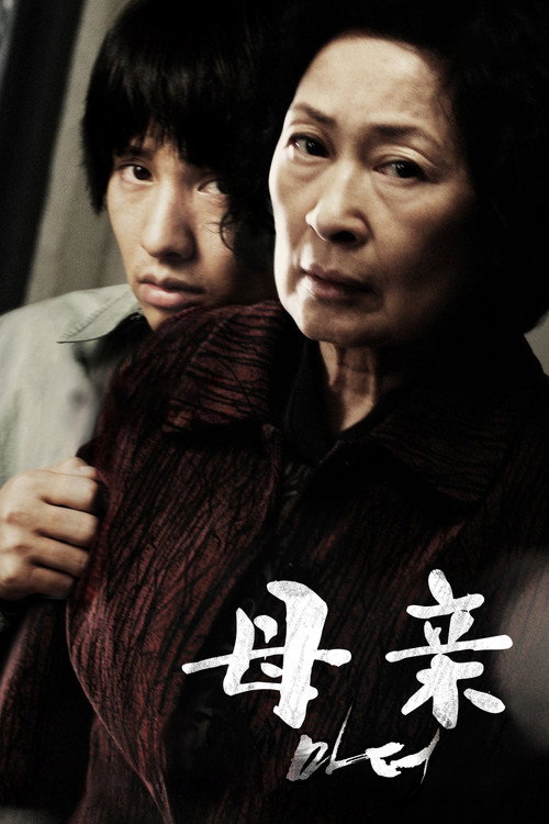 母亲 海报