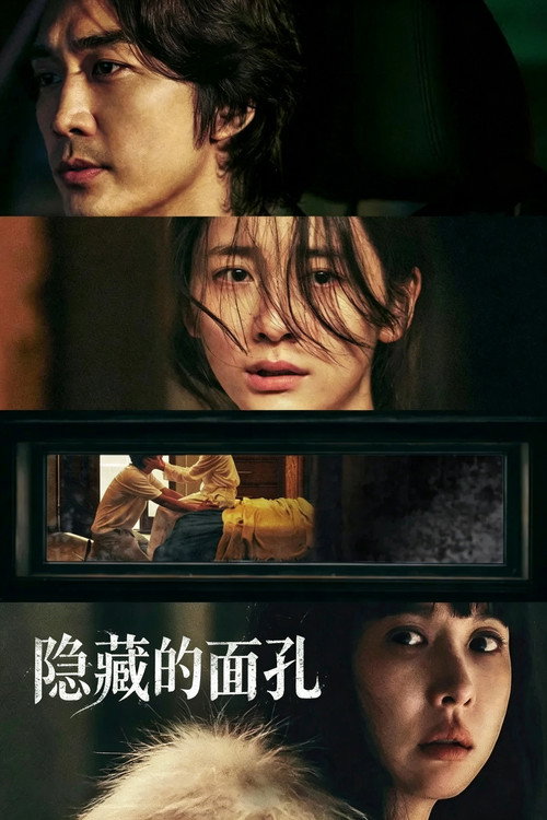 隐藏的面孔 海报