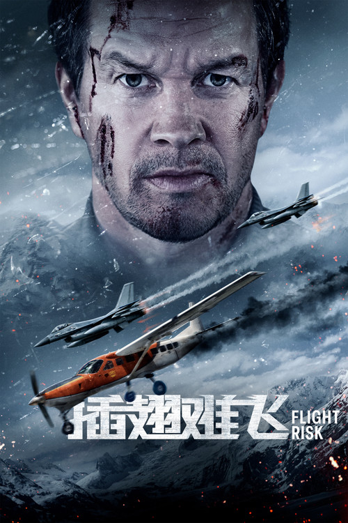 插翅难飞 海报