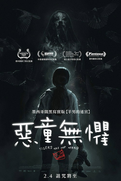 无惧之虎 海报