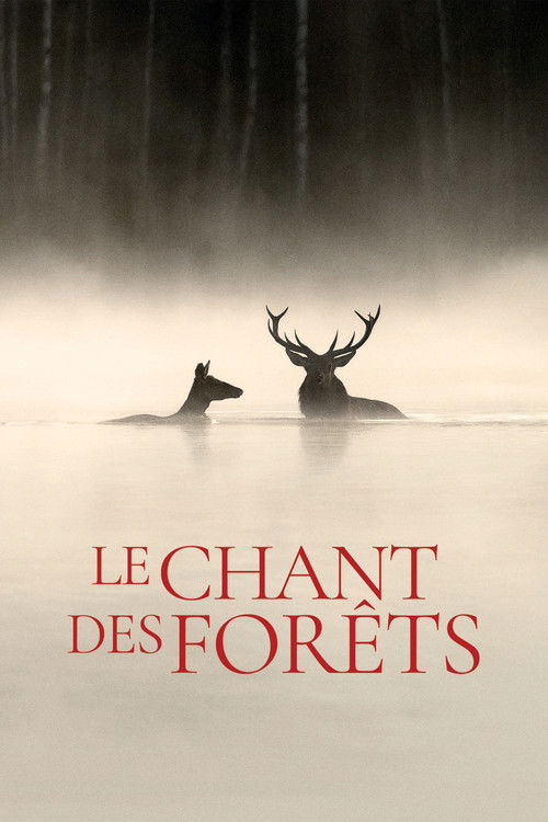 Le Chant des forêts 海报