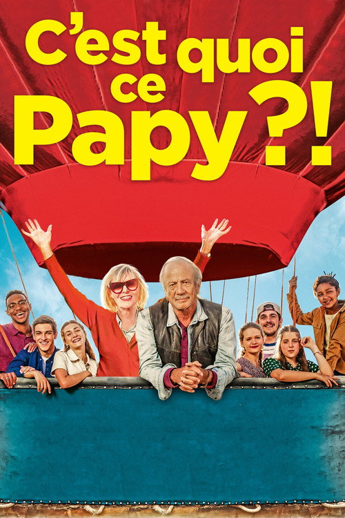 C'est quoi ce papy ?! 海报