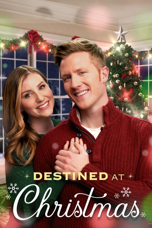 Destined at Christmas 海报