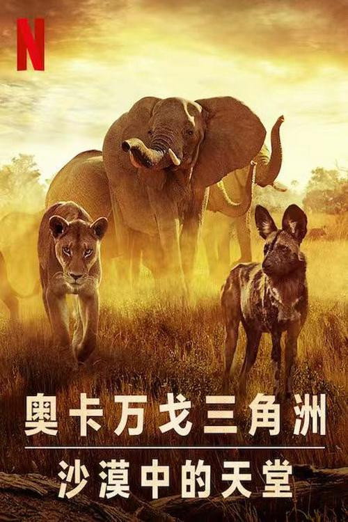 幸存的天堂 海报