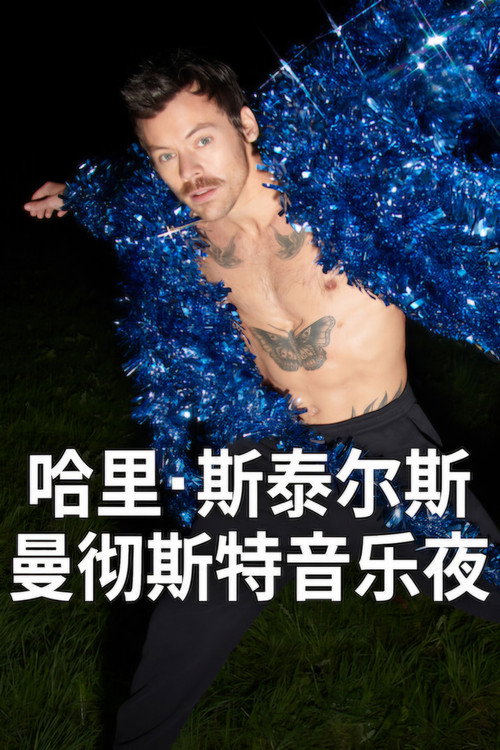 哈里·斯泰尔斯：曼彻斯特音乐夜 海报