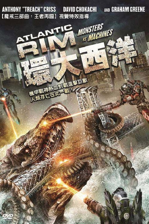 环大西洋 海报