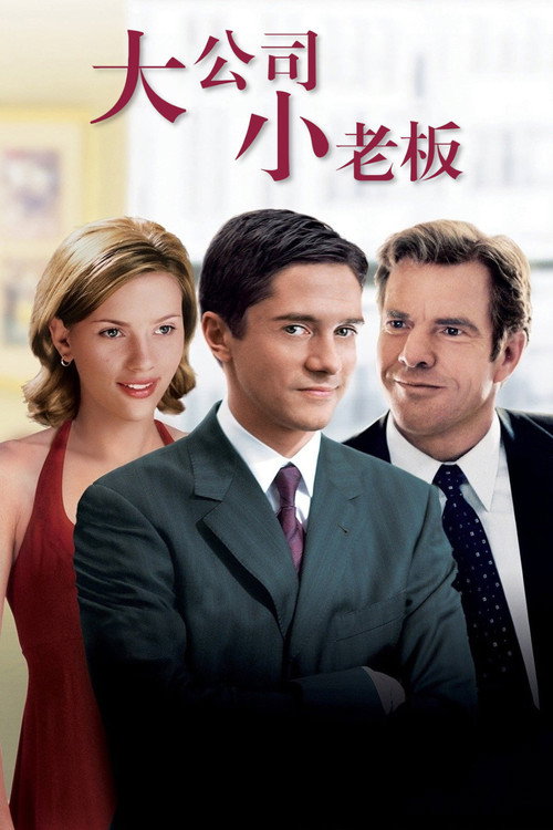 大公司小老板 海报
