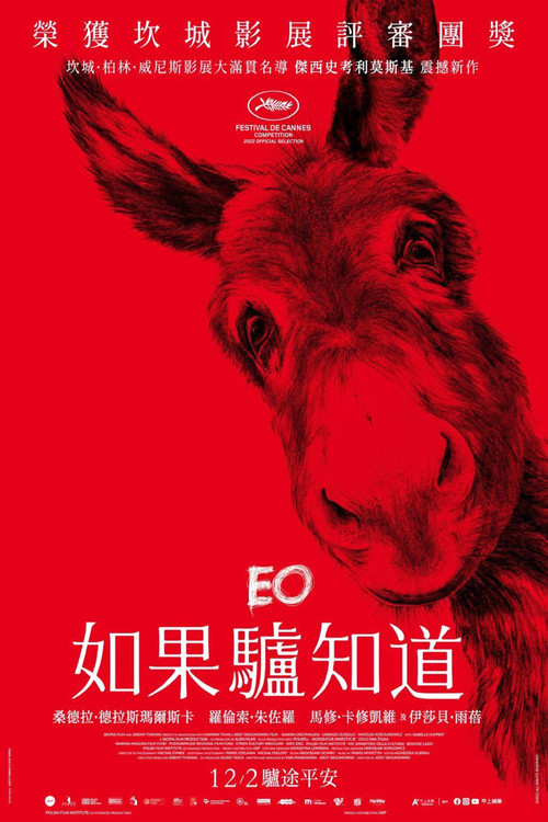 驴叫 海报