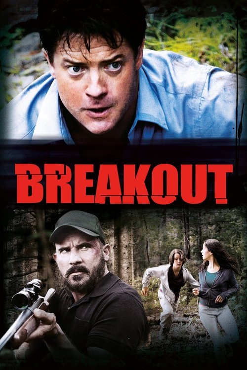 Breakout 海报