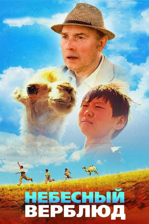 天上的骆驼 海报