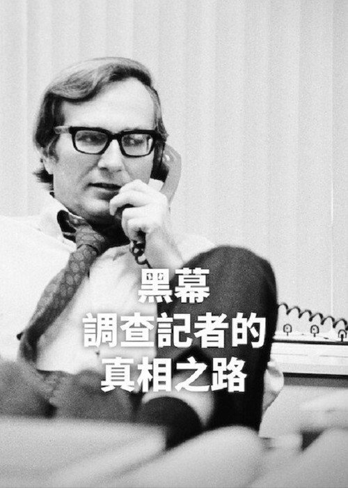 黑幕：调查记者的真相之路 海报
