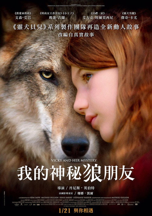 薇琪的秘密 海报