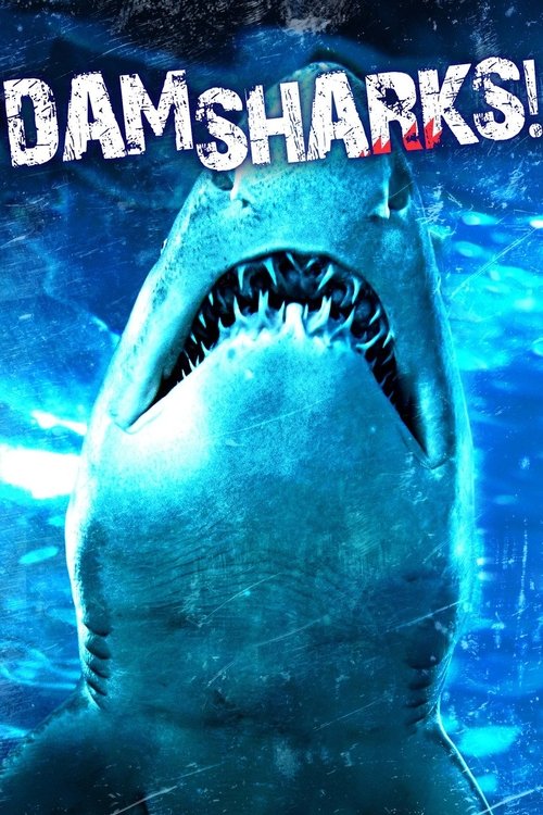 Dam Sharks! 海报