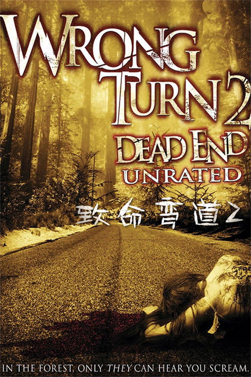 致命弯道2：死路 海报