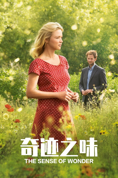 奇迹之味 海报
